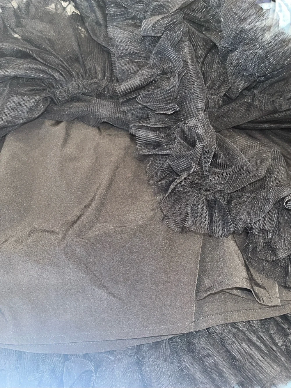 Jane Eyre Garden Women's Black Tulle Circle Skirt with Ruffle Hem size Med